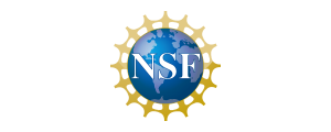 The letters 'NSF' superimposed on a globe, surrounded by sun rays